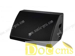 网络有源单15寸返送音箱350W 德国SONIC